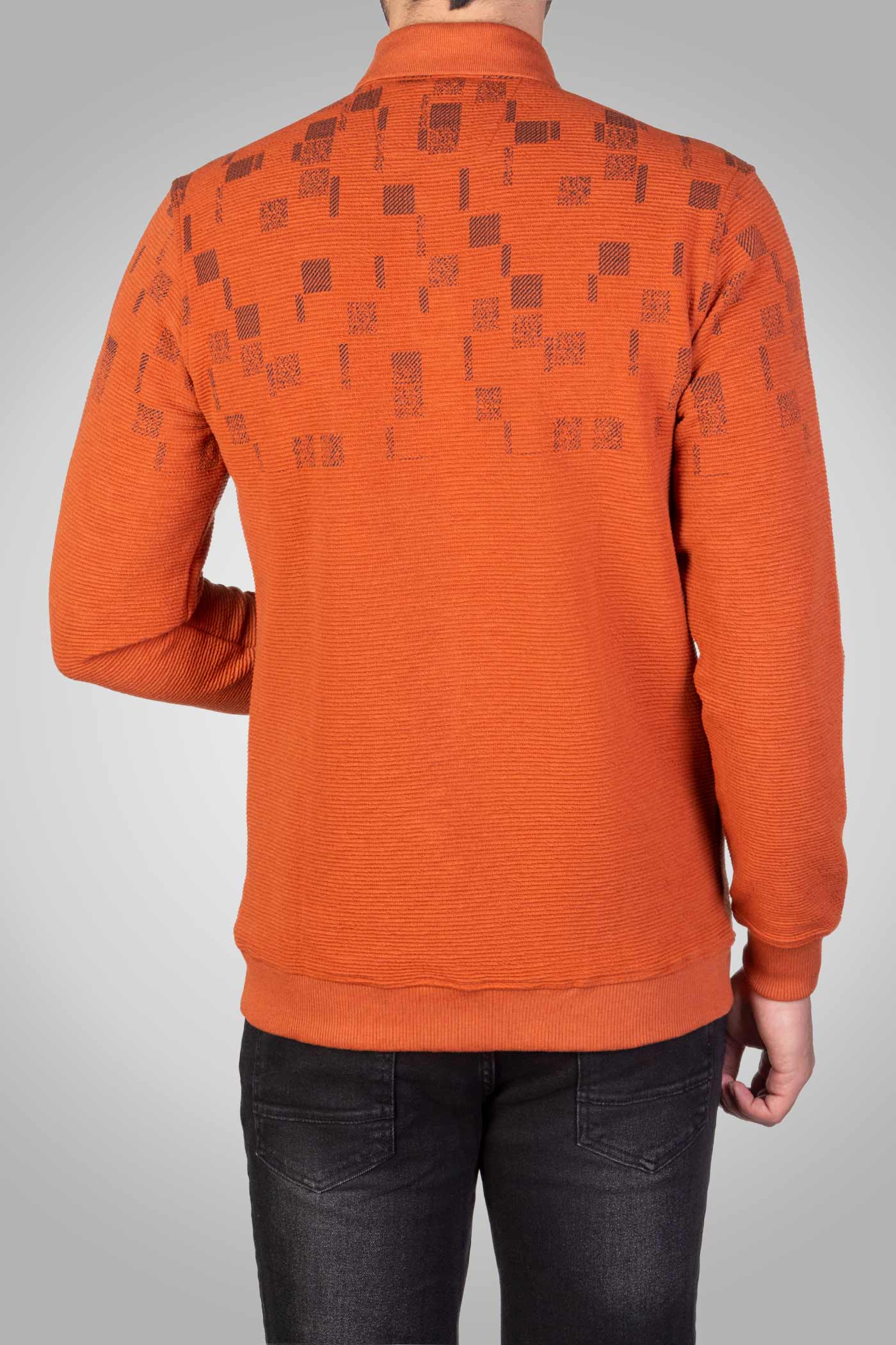 پولوشرت استین بلند 160120