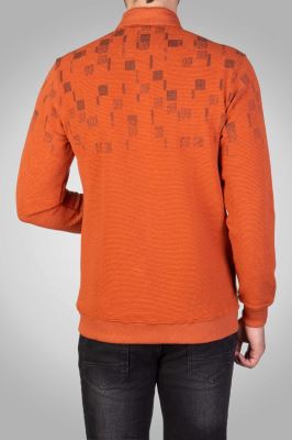 پولوشرت استین بلند 160120