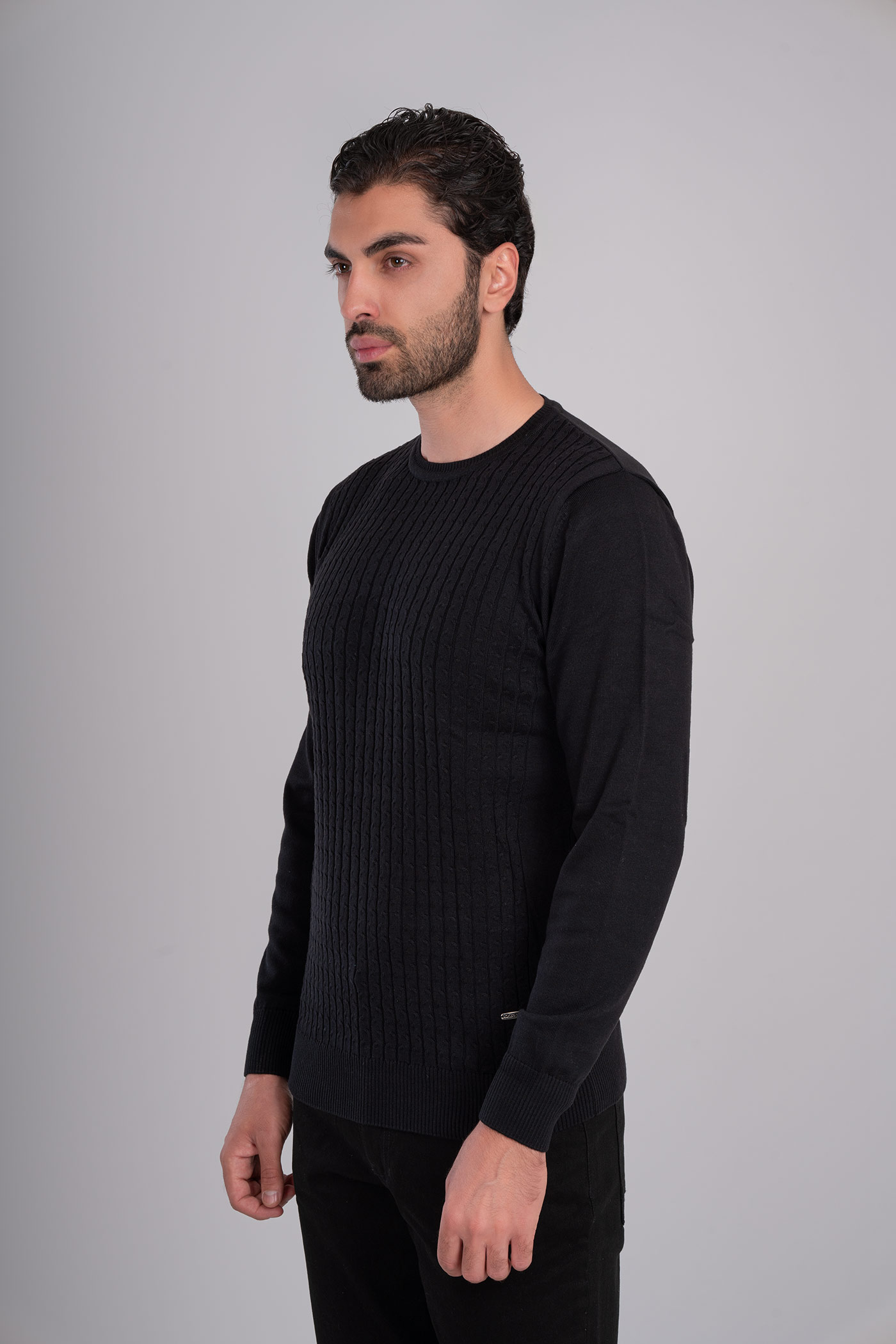 پلیور یقه گرد 300020