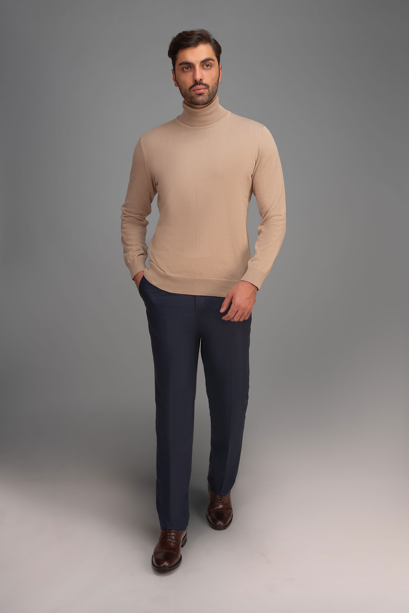 پلیور یقه اسکی مردانه 300027